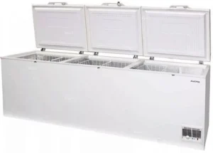 Ларь морозильный AUCMA BD-818