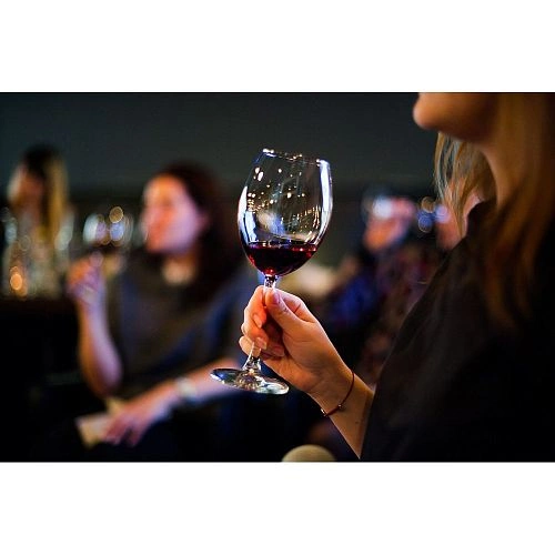 Шкаф винный CASO WineComfort 66 black — изображение 4